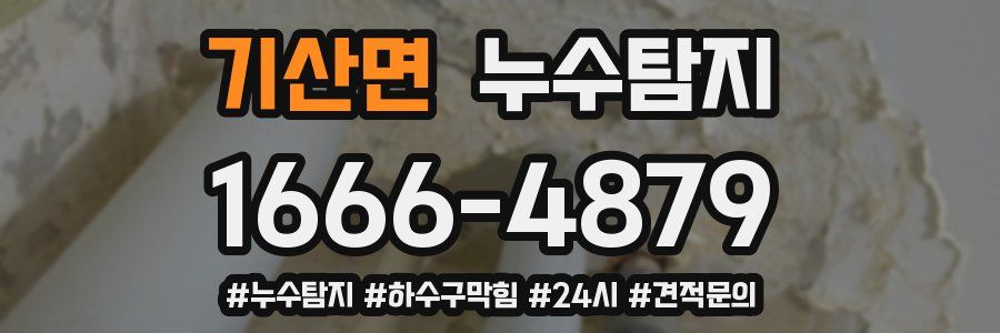 누수닥터 누수탐지