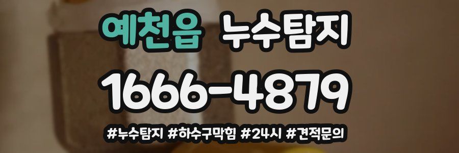 누수닥터 누수탐지