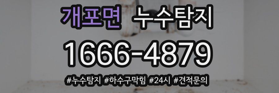 누수닥터 누수탐지
