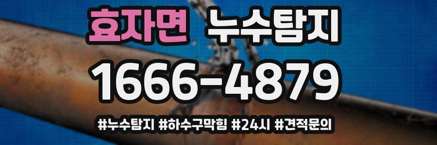 누수닥터 누수탐지