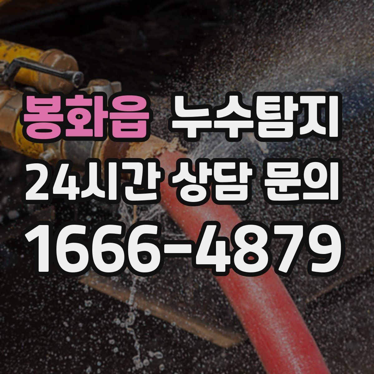 봉화읍 누수탐지 공실 관리 정기 점검 운영기