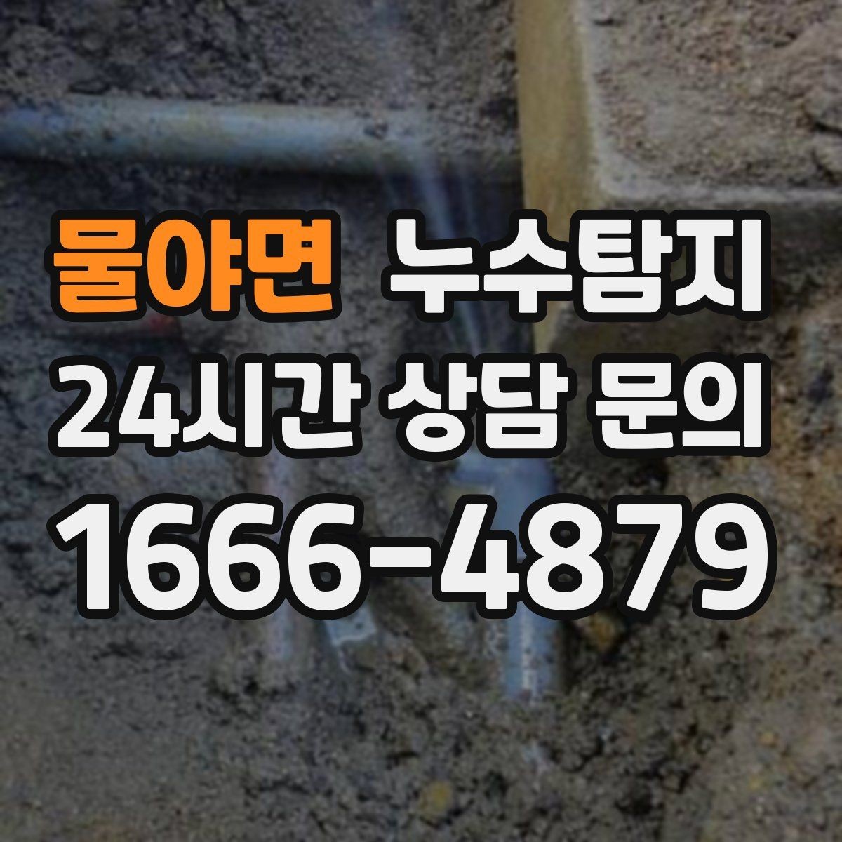 물야면 누수탐지 전문 진단 서비스