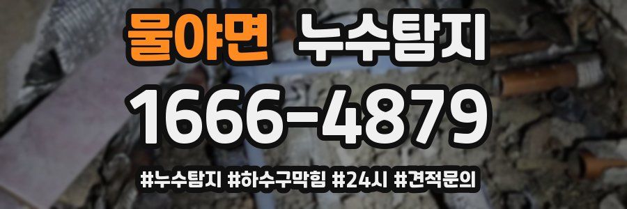 누수닥터 누수탐지