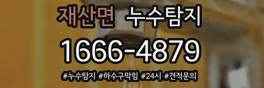 누수닥터 누수탐지