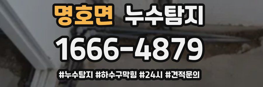 누수닥터 누수탐지