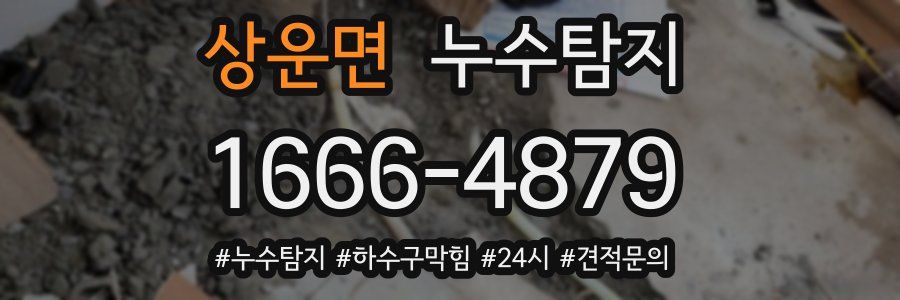 누수닥터 누수탐지
