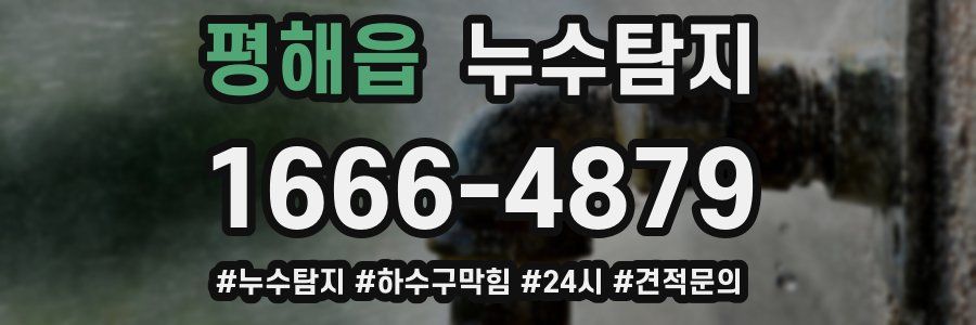 누수닥터 누수탐지
