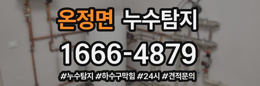 누수닥터 누수탐지
