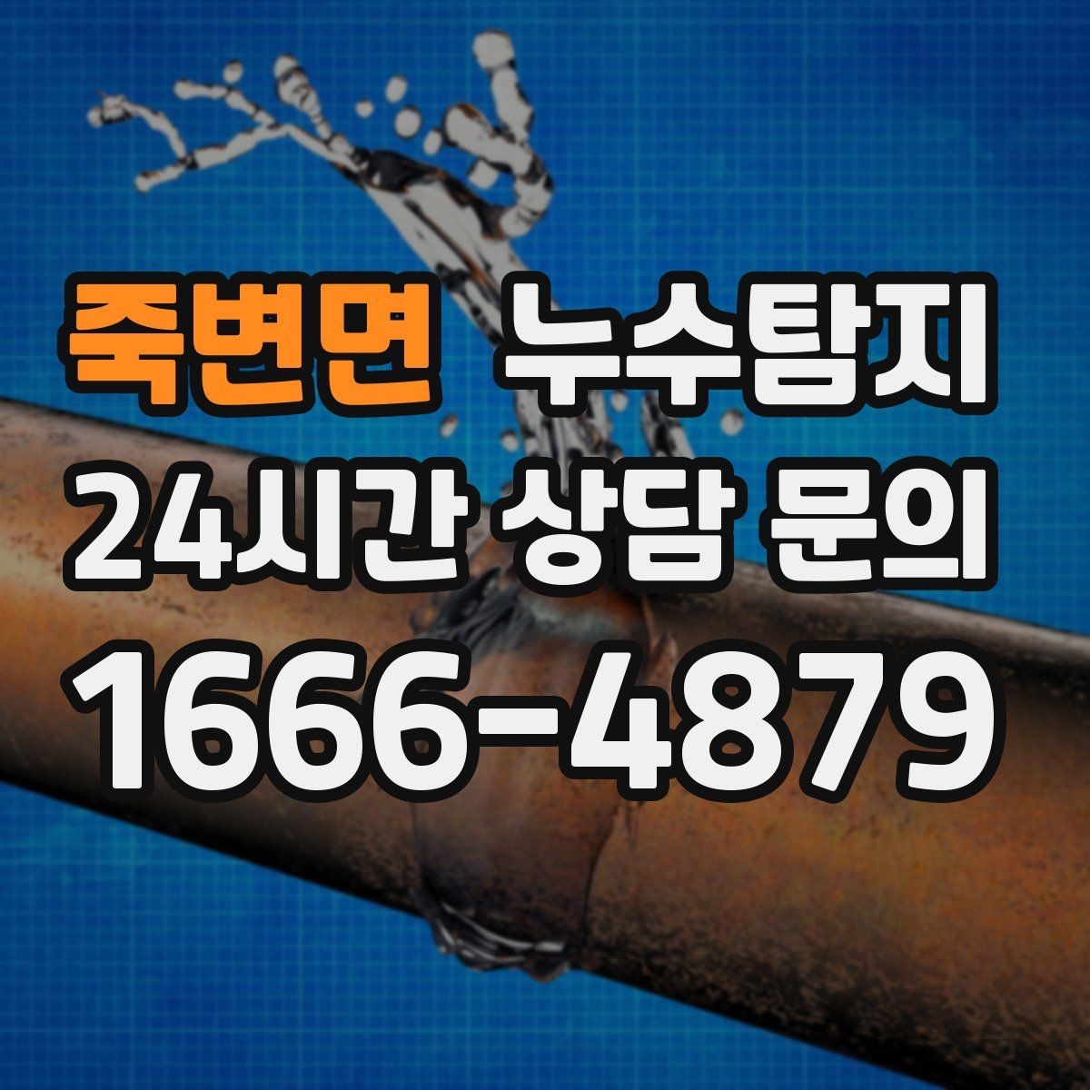 죽변면 누수탐지 신속 정확한 서비스를 만나보세요