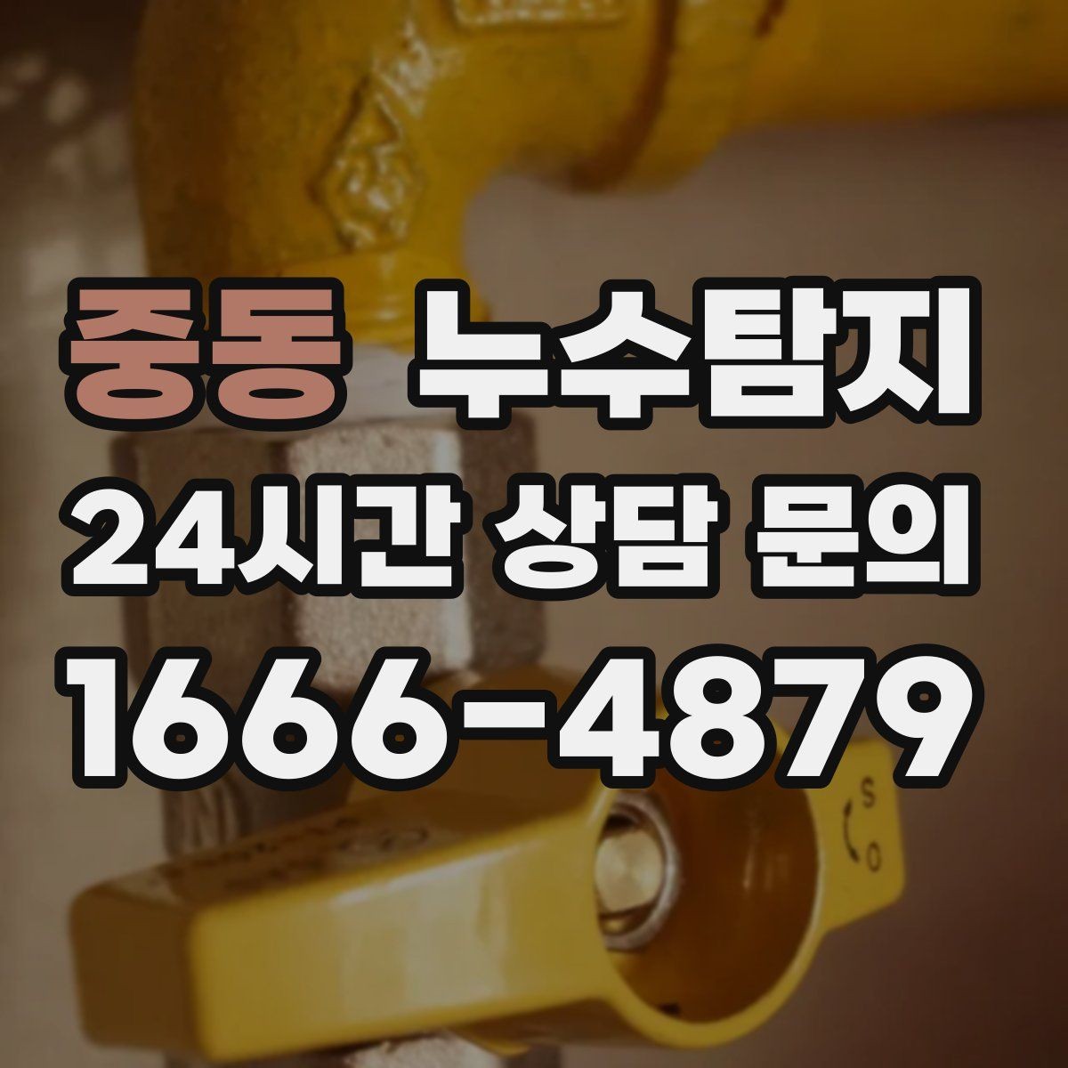 중동 누수탐지 정밀 장비 진단으로 숨은 누수를 신속하게 찾아냅니다.