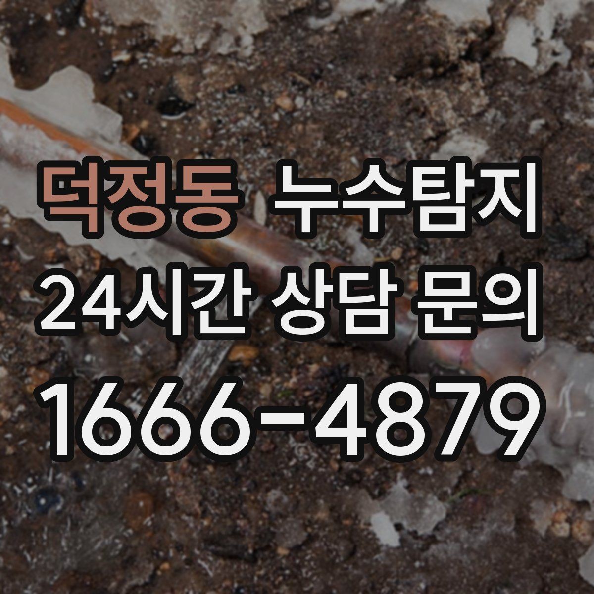 덕정동 누수탐지 우리 집 맞춤 복구 설계