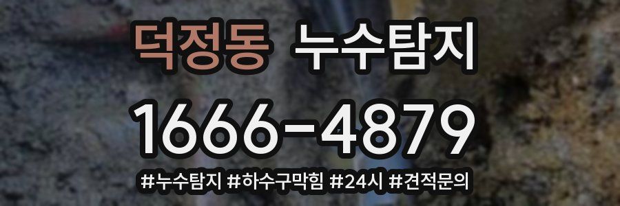 누수닥터 누수탐지