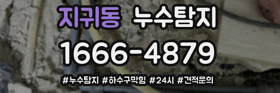 누수닥터 누수탐지