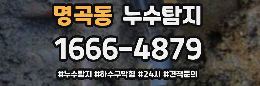 누수닥터 누수탐지