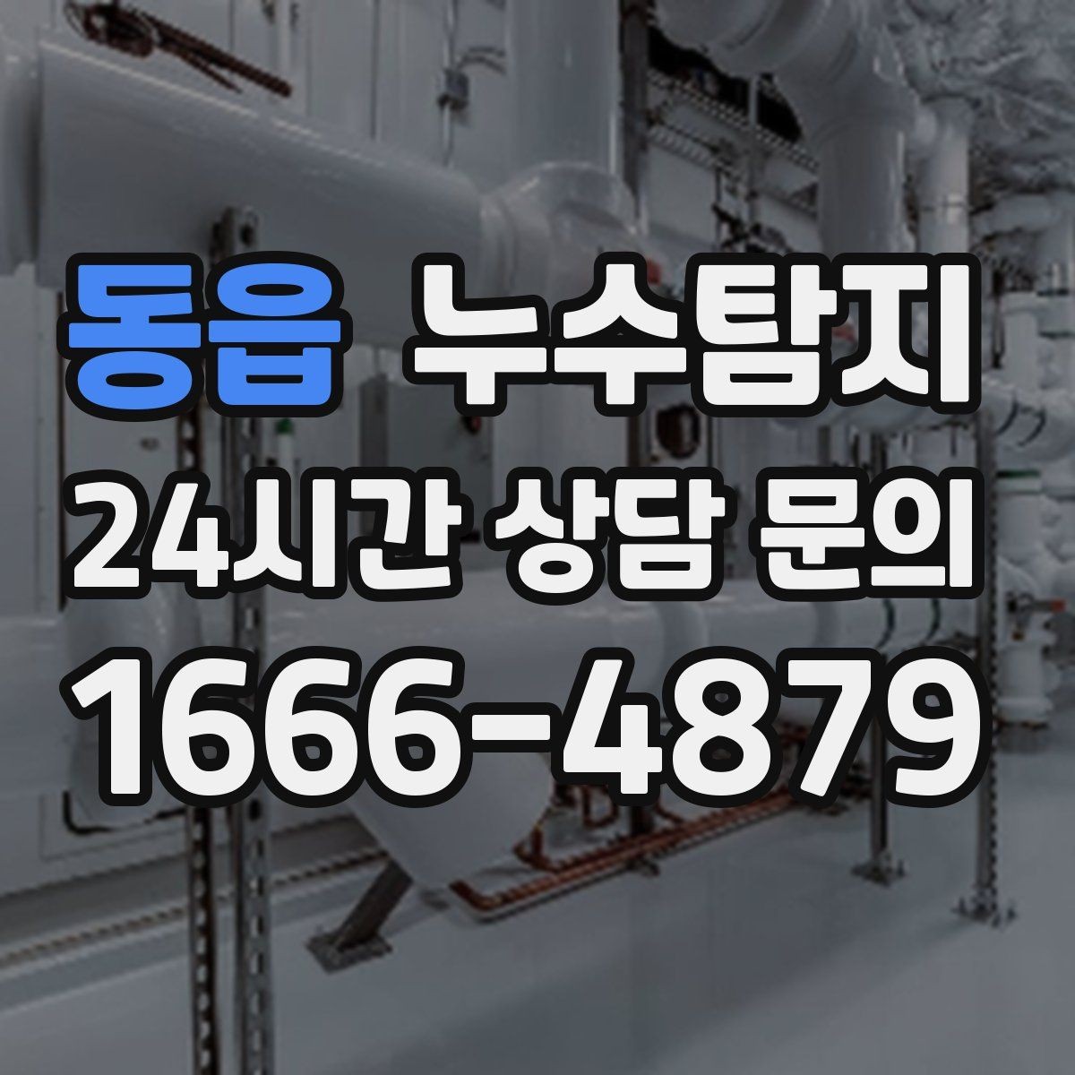 동읍 누수탐지 옥상 방수층 상태 점검 노트