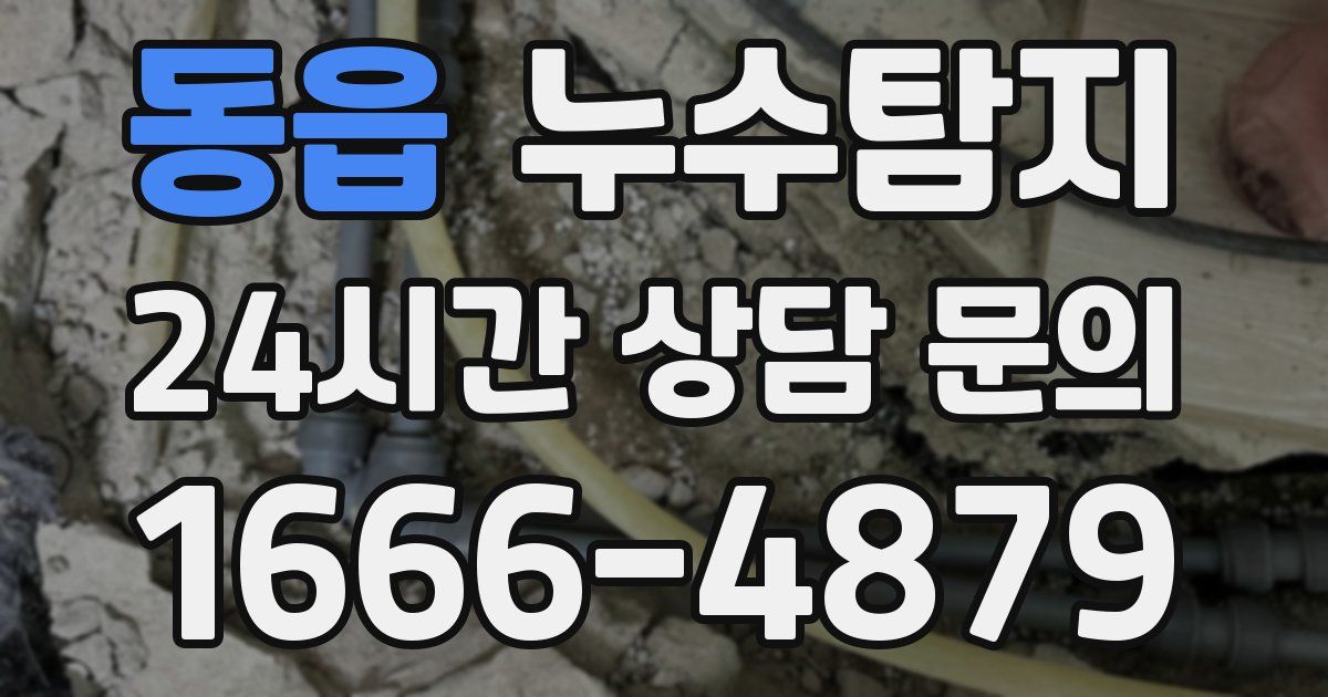 하수구막힘