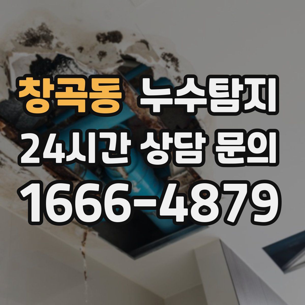 누수탐지
