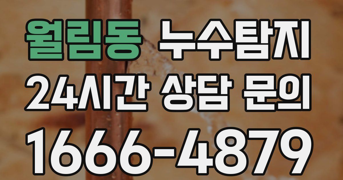 하수구막힘
