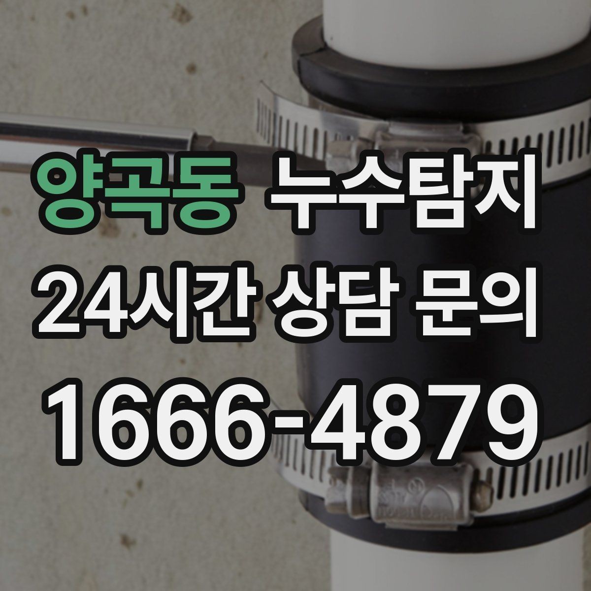 양곡동 누수탐지 현관 타일 습기 해결 과정