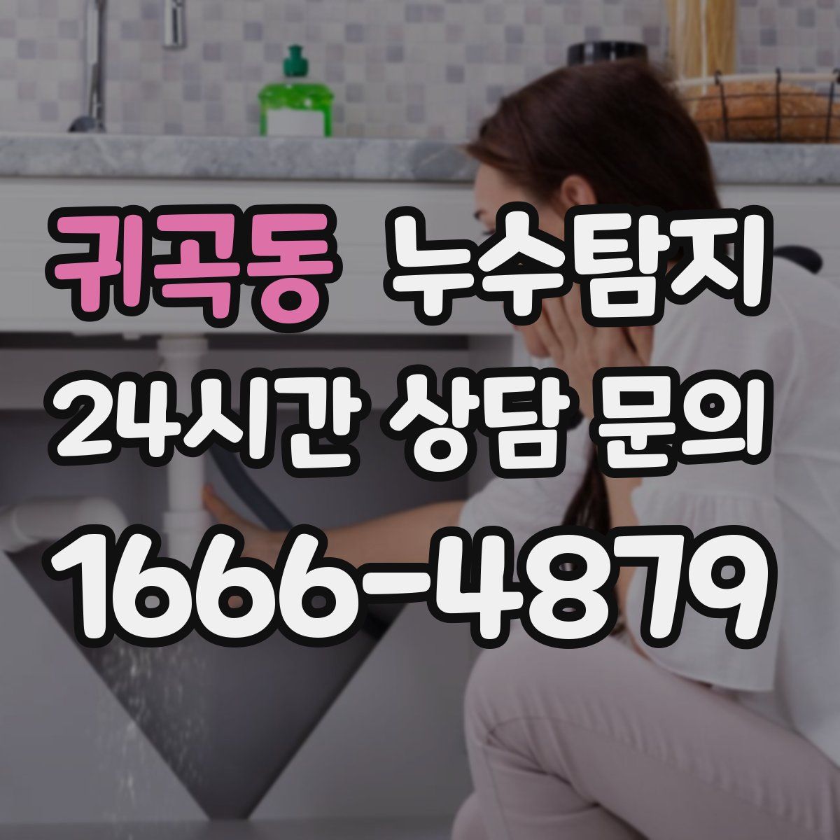 누수탐지