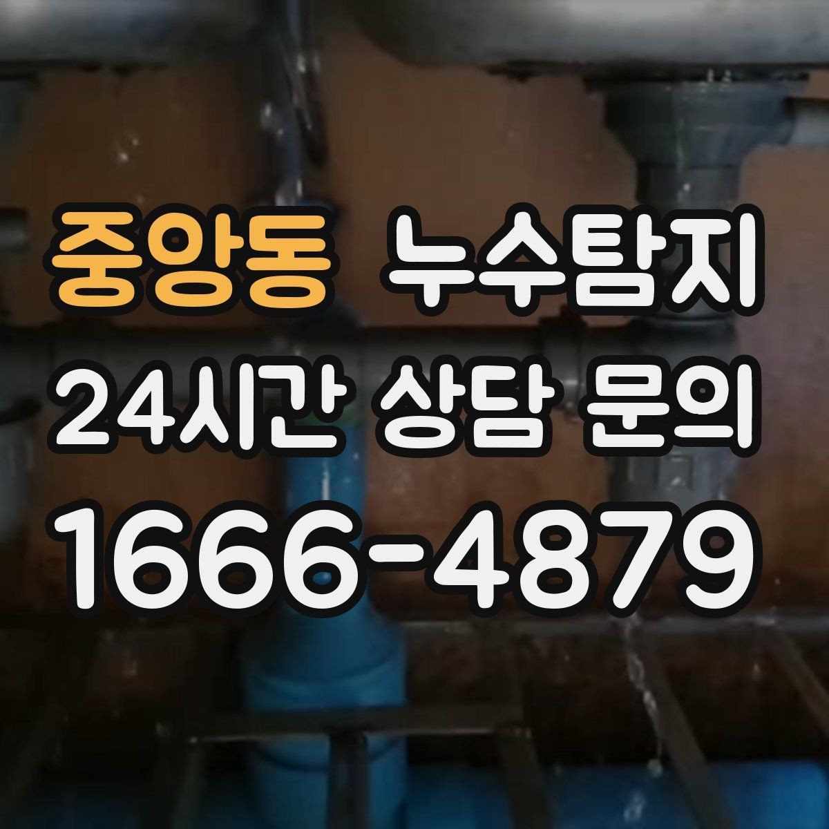 중앙동 누수탐지 식기세척기 급수 누수 점검