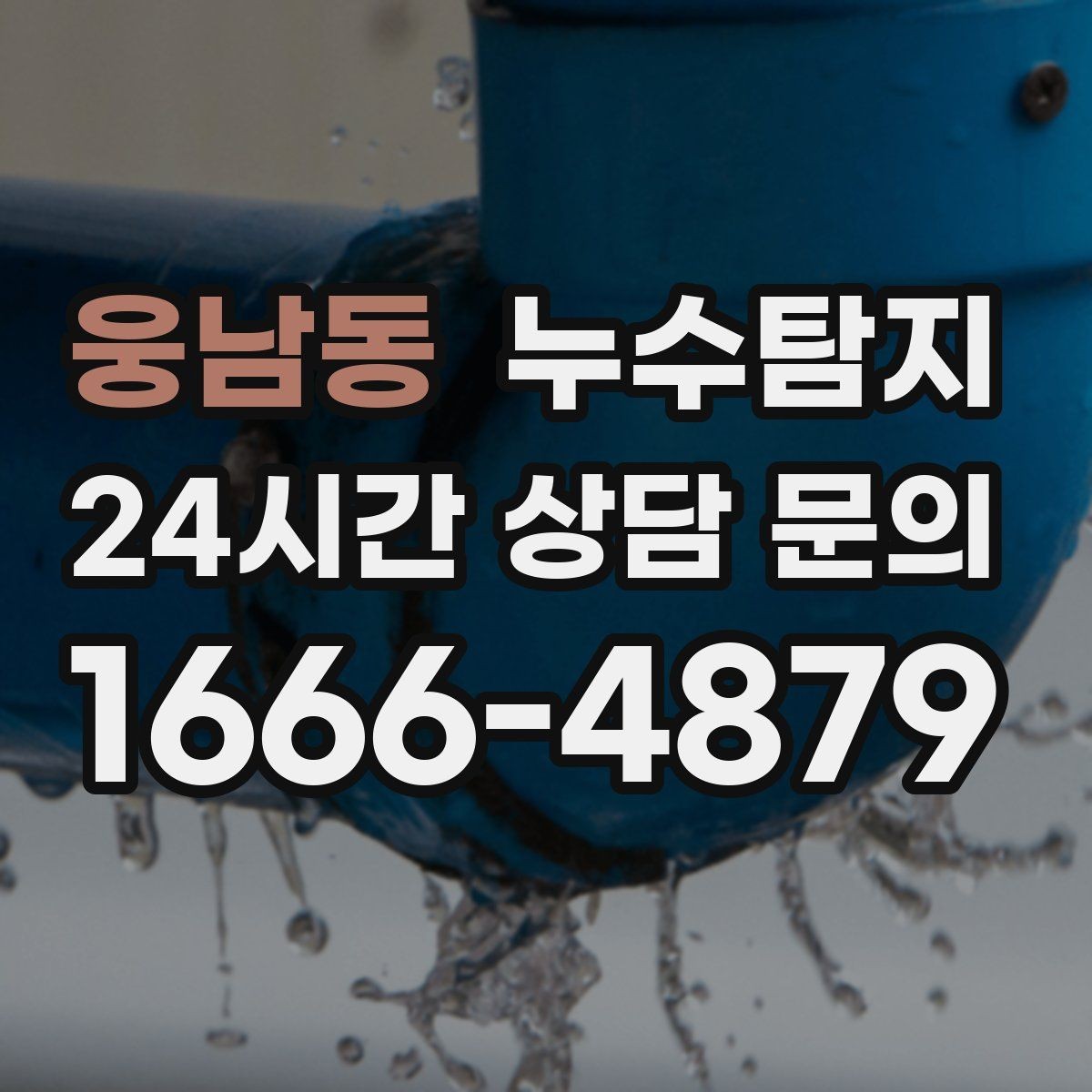 웅남동 누수탐지 사진과 영상 데이터로 믿는 진단