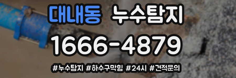 누수닥터 누수탐지