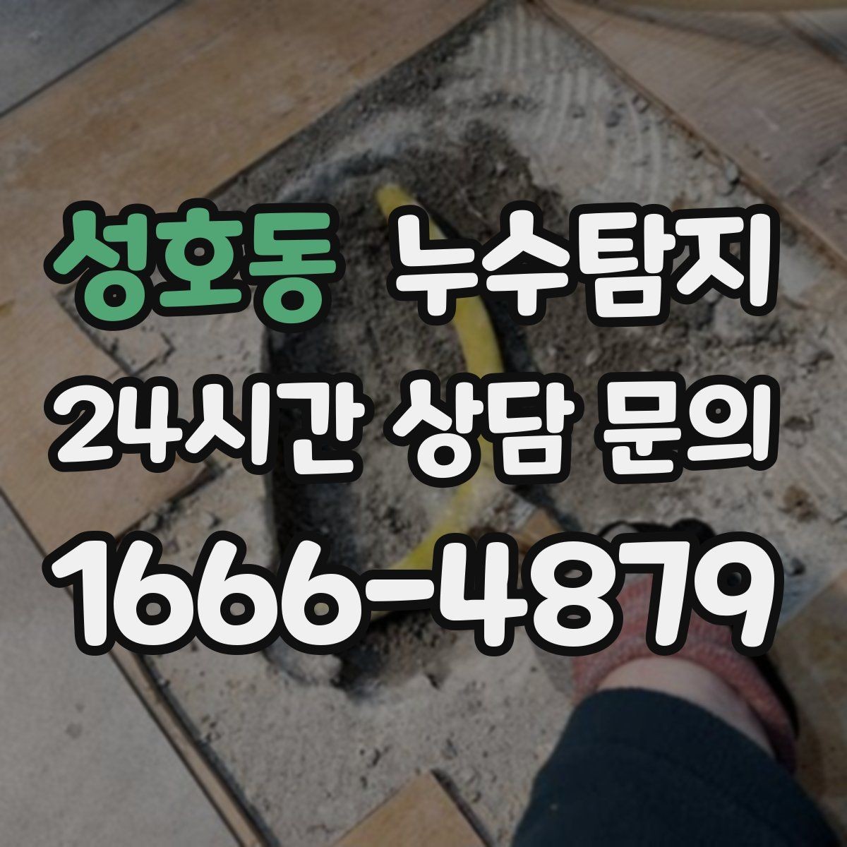 성호동 누수탐지 세탁실 배수 문제 진단 경험