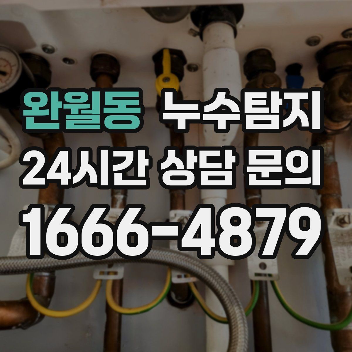 완월동 누수탐지 비용 가격 요금 합리적인 견적 상담 안내