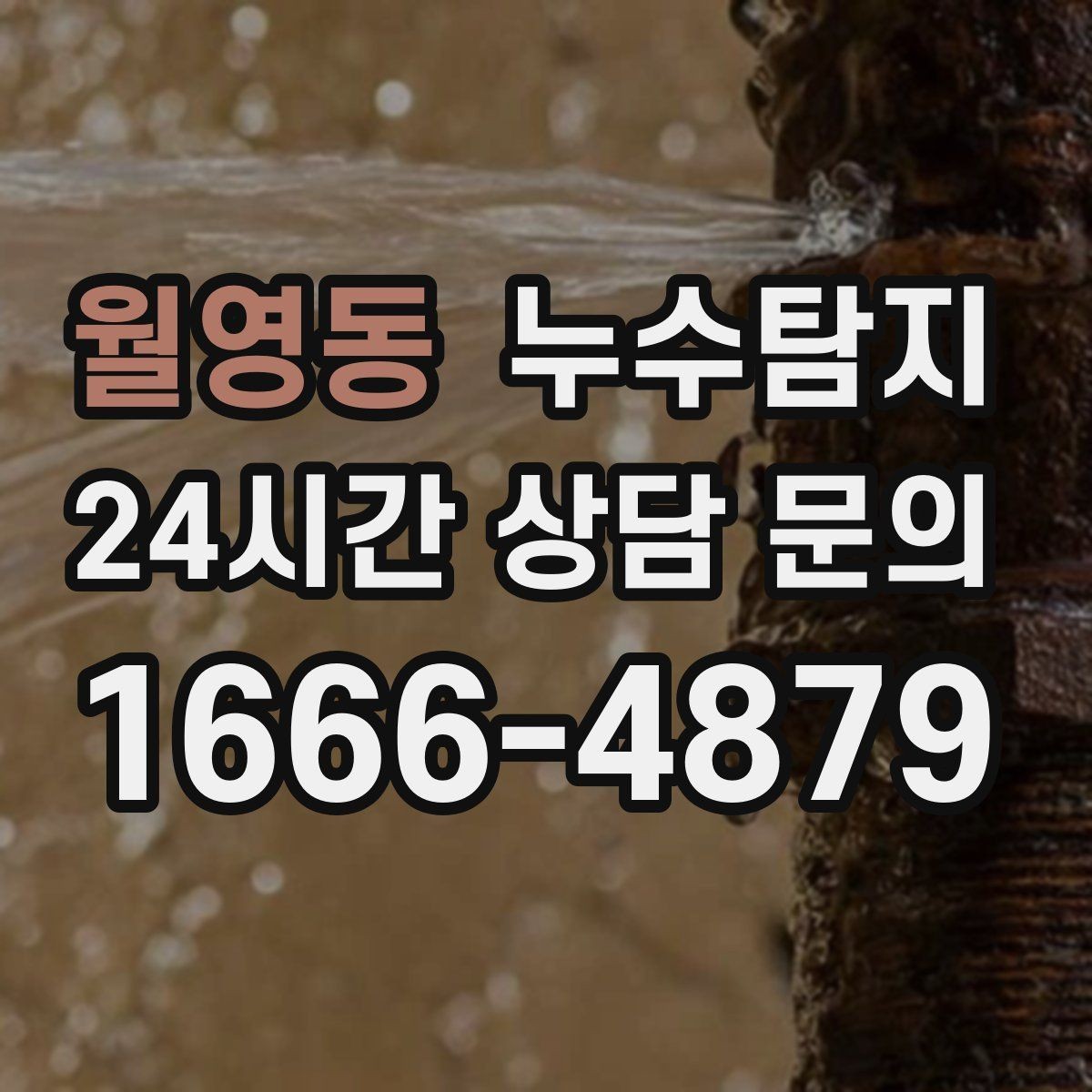 월영동 누수탐지 옥상 파라펫 균열 점검 일지