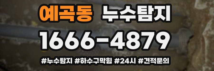 누수닥터 누수탐지
