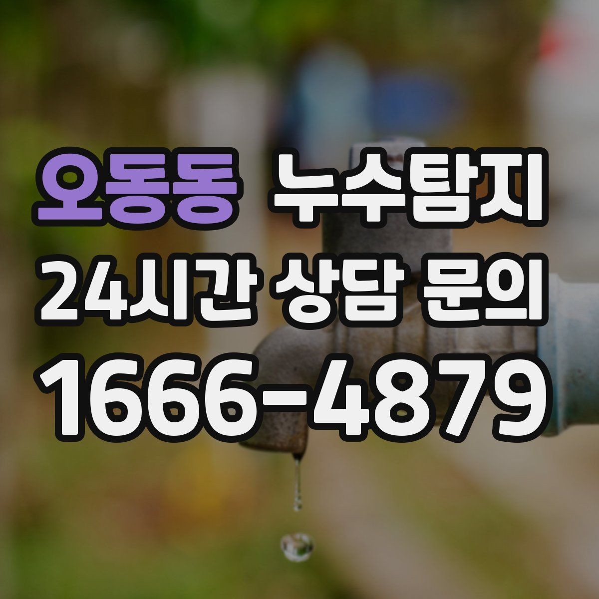 오동동 누수탐지 촬영 데이터로 확인한 변화