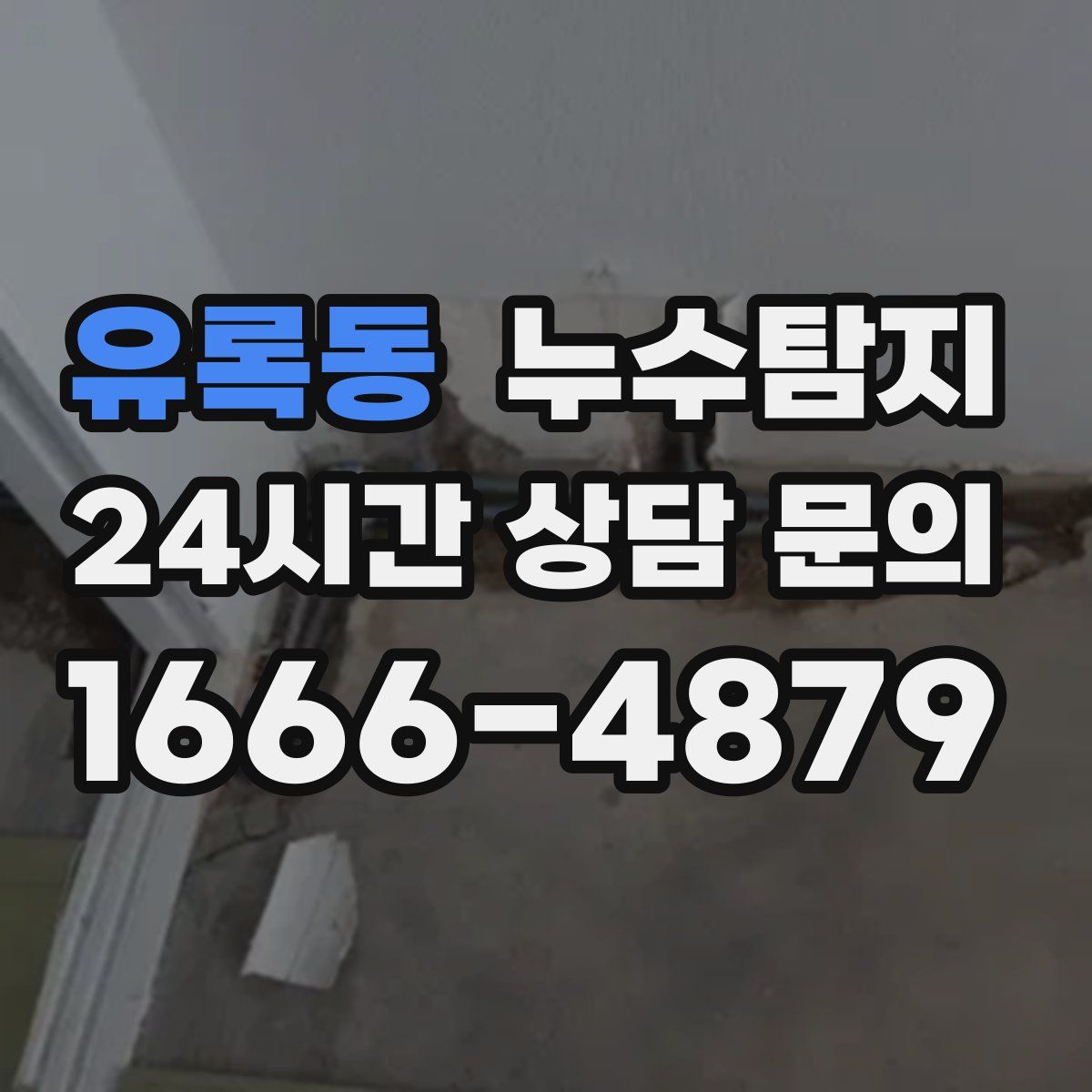누수탐지