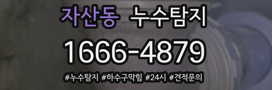 누수닥터 누수탐지