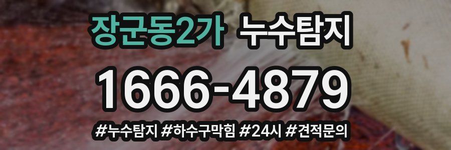 누수닥터 누수탐지