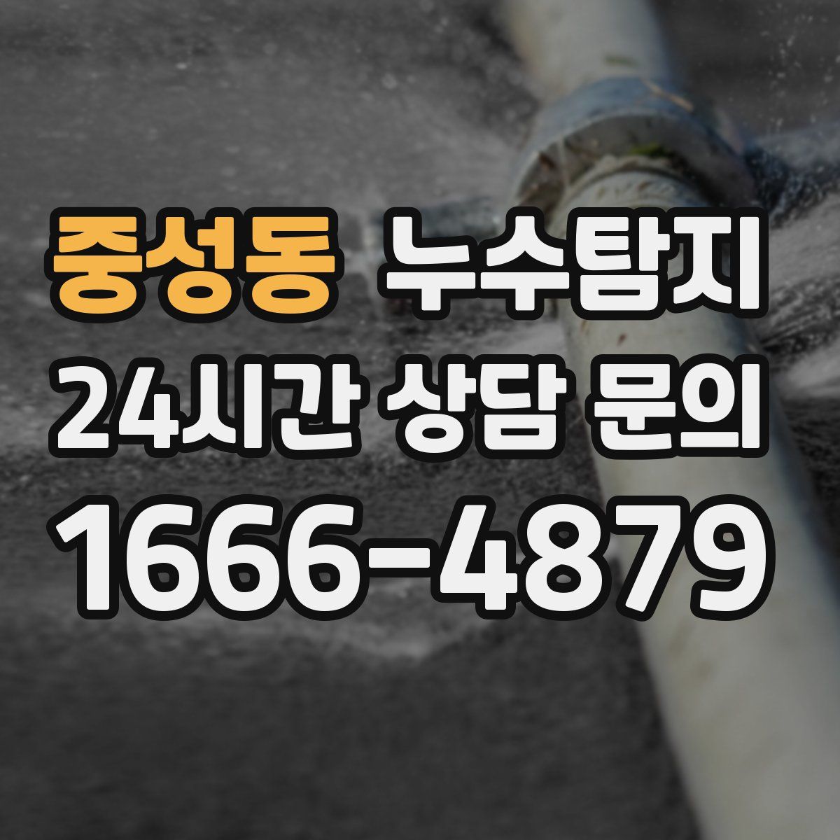 누수탐지