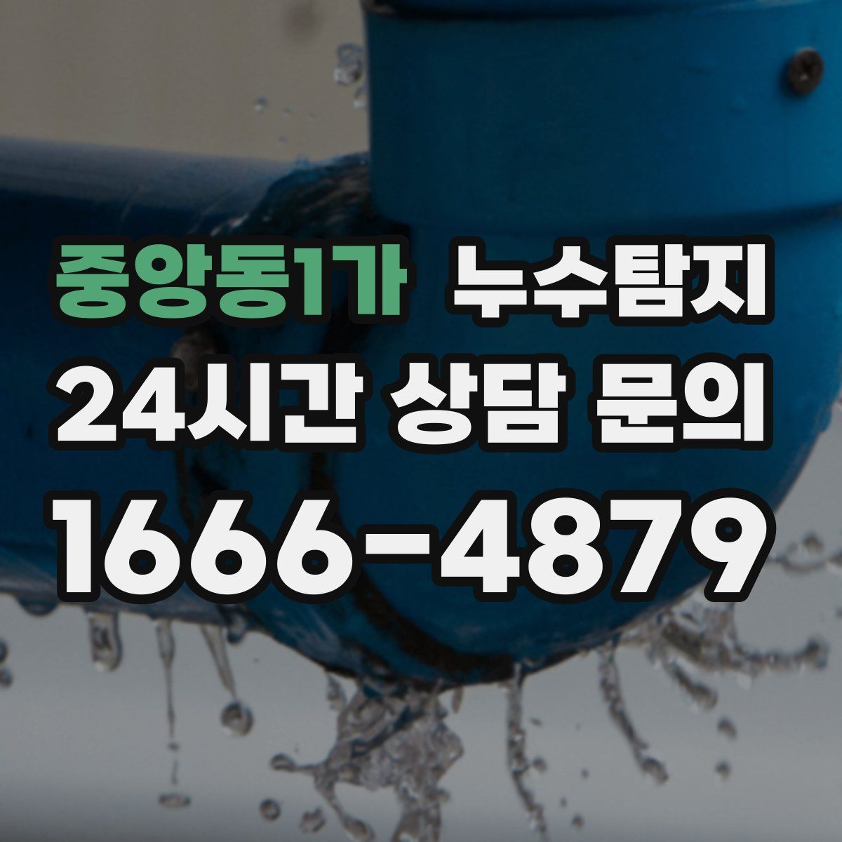 누수탐지