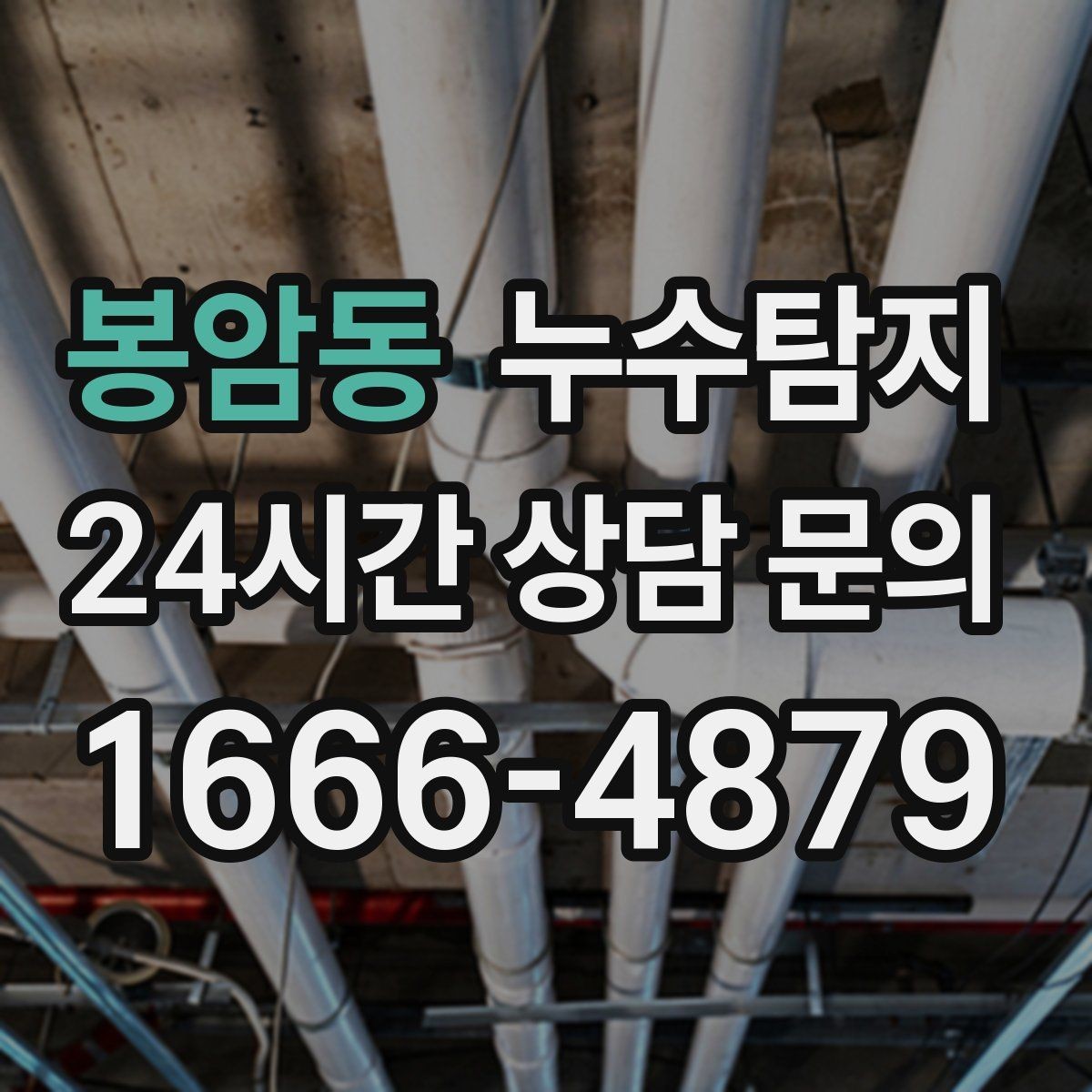 봉암동 누수탐지 장판 들뜸 복구와 재발 방지