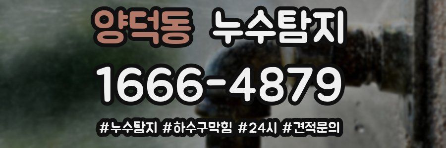 누수닥터 누수탐지