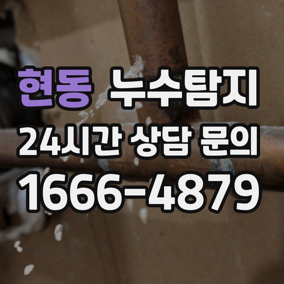 현동 누수탐지 단열 결로와 누수 구분 가이드