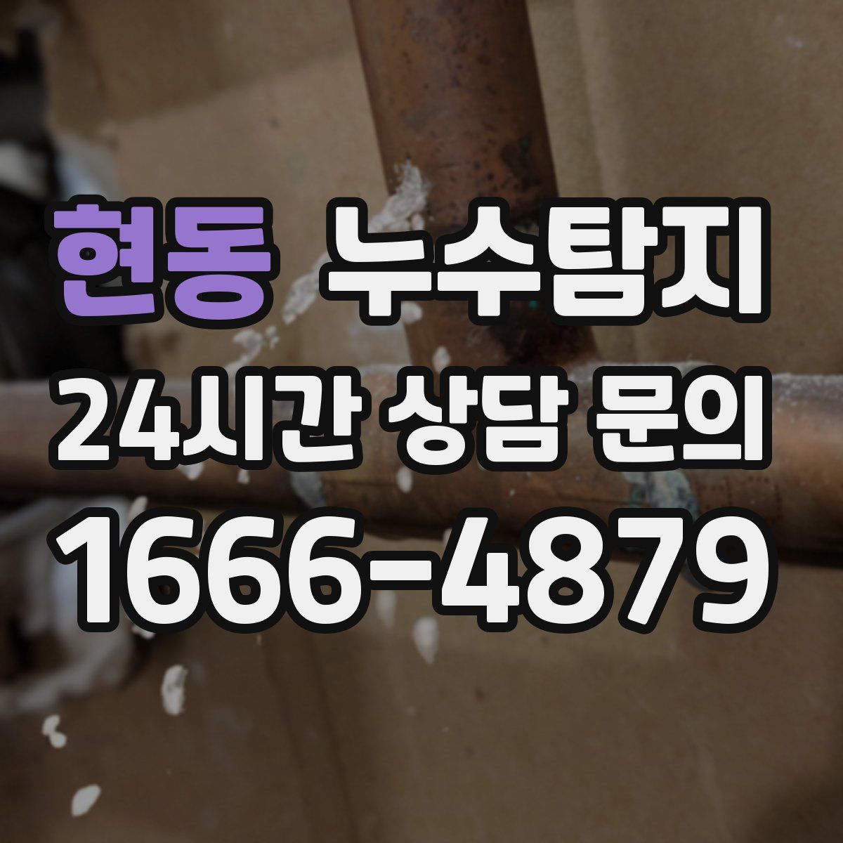 누수탐지