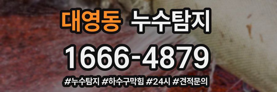 누수닥터 누수탐지