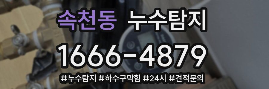 누수닥터 누수탐지