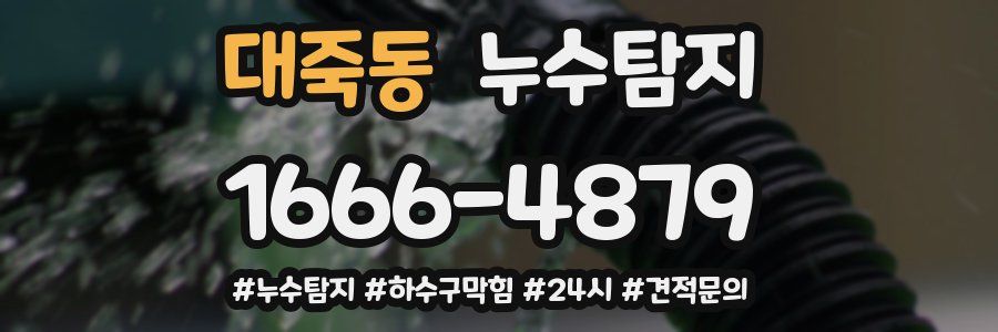 누수닥터 누수탐지