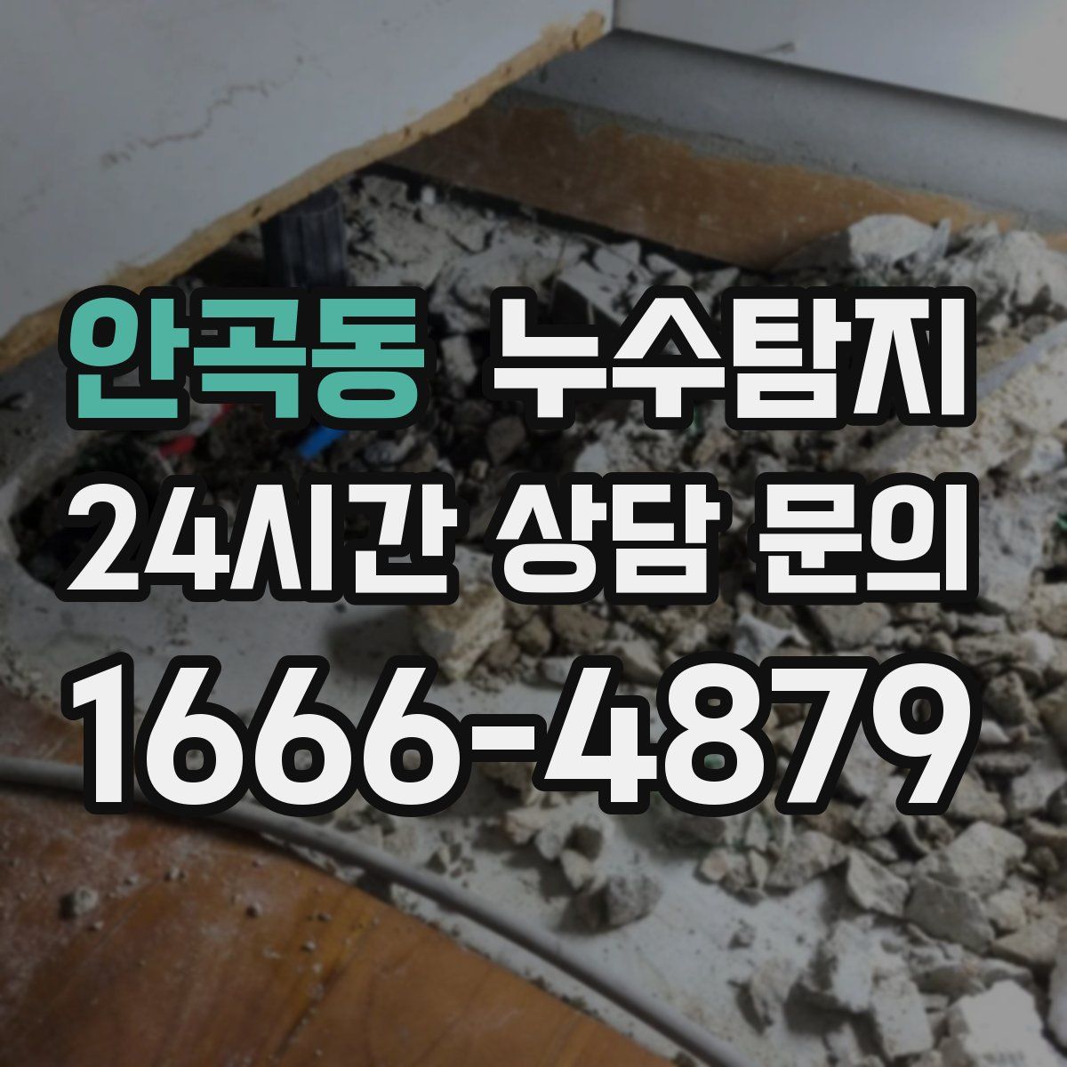 누수탐지