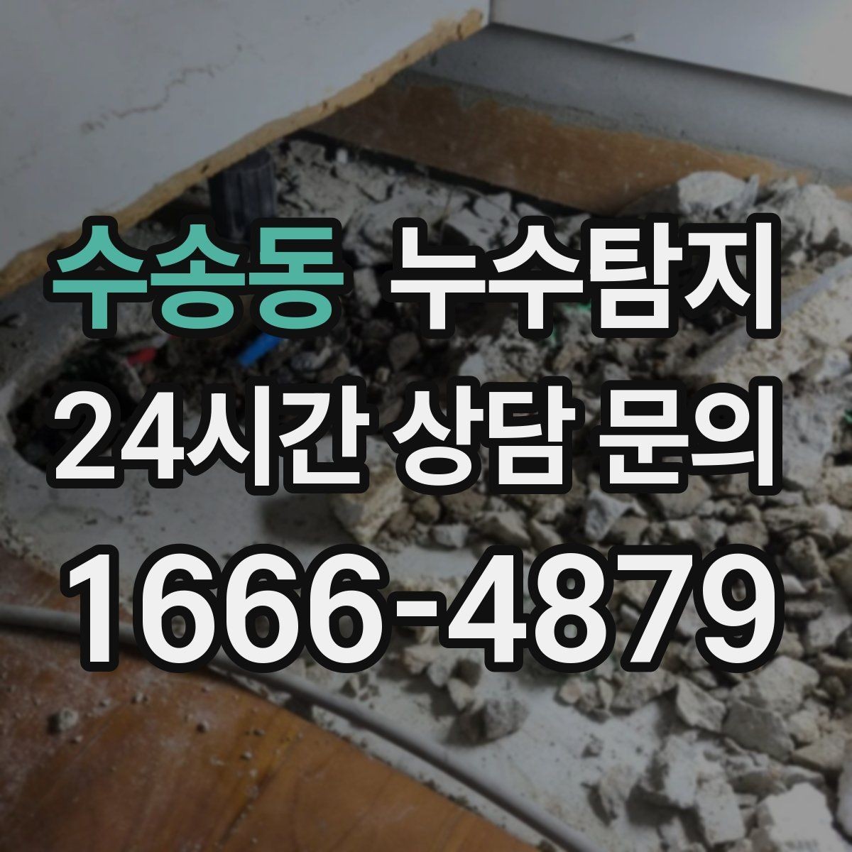 수송동 누수탐지 장판 들뜸 해결까지의 기록