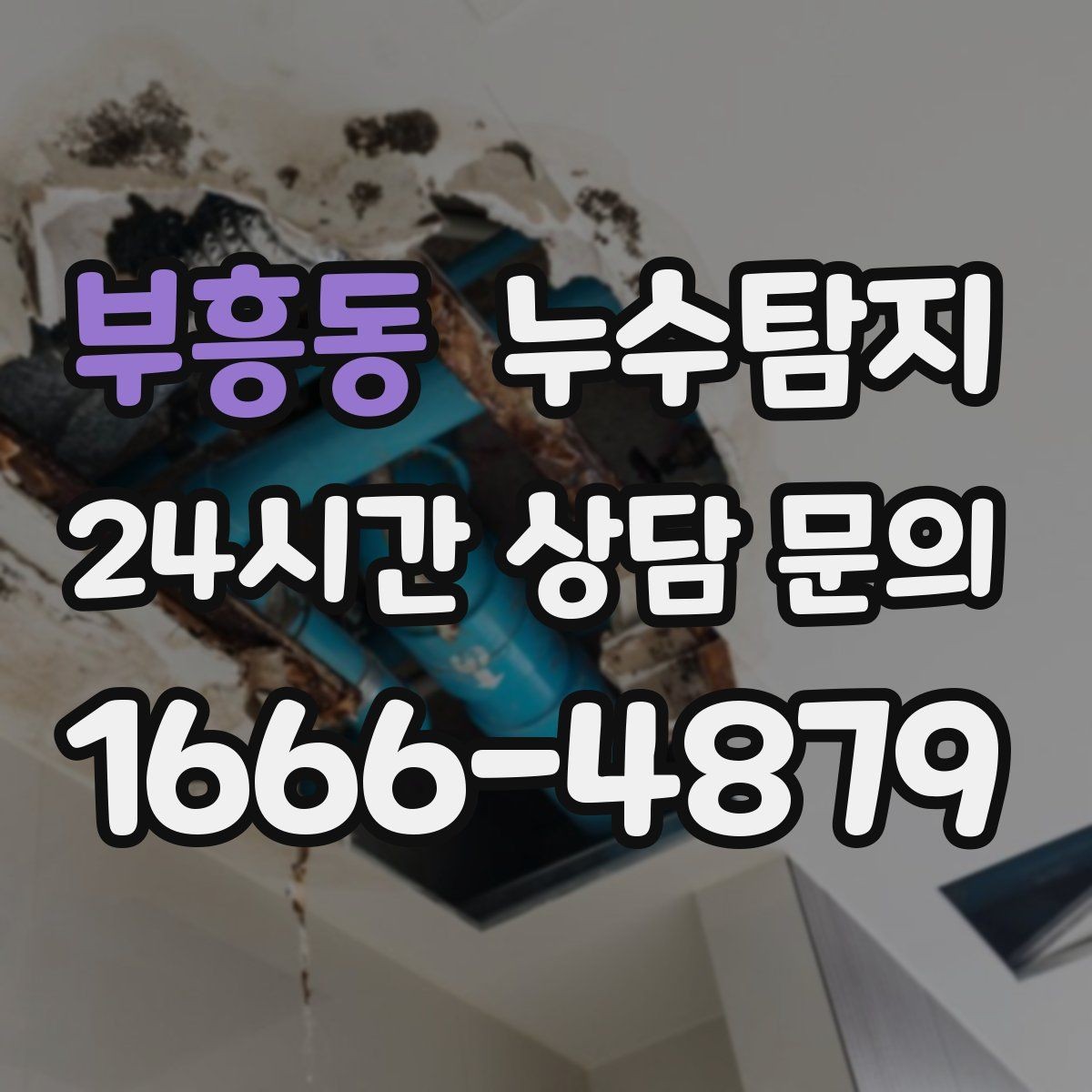 부흥동 누수탐지 겨울철 동파 대비 배관 점검 노하우