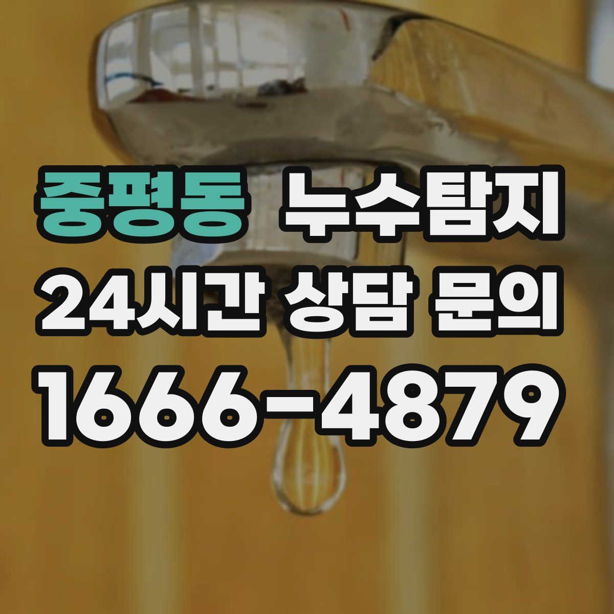 누수탐지
