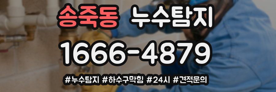 누수닥터 누수탐지