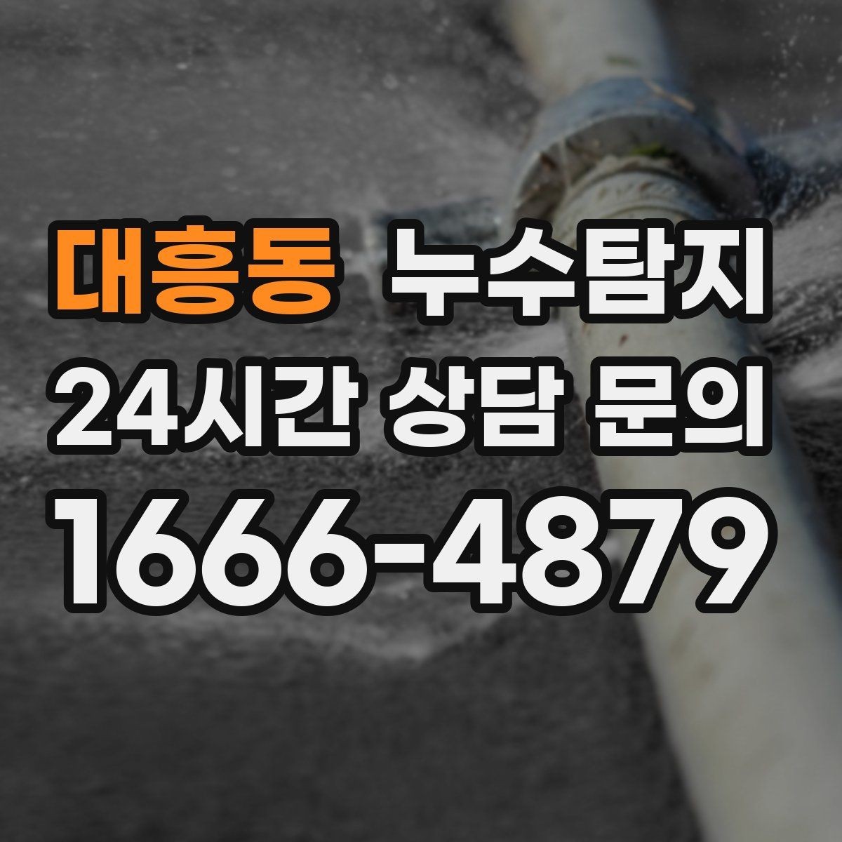 대흥동 누수탐지 천장에서 떨어진 물방울의 기록